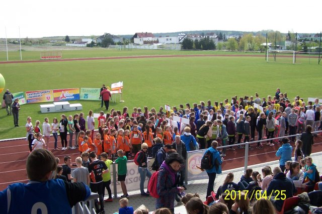 biegi 15